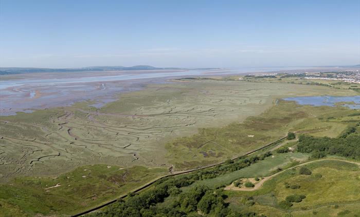 An aerial shot of the saltmarsh habitat and estuary at Llanelli, with the Gower Peninsula in the distance.